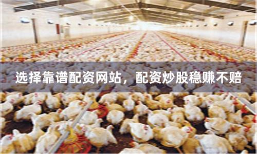 选择靠谱配资网站，配资炒股稳赚不赔
